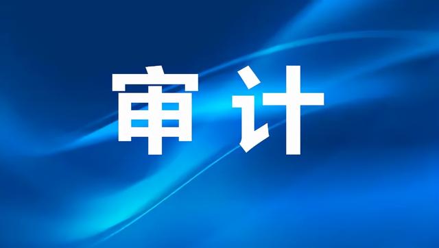 乡村振兴相关政策措施及资金使用管理情况审计论文