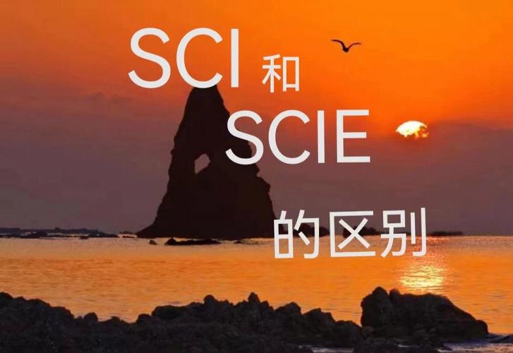 关于SCI润色艾米编辑
