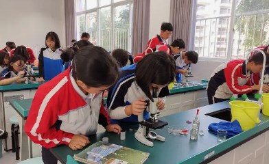 初中生物跨学科教学实践初探论文