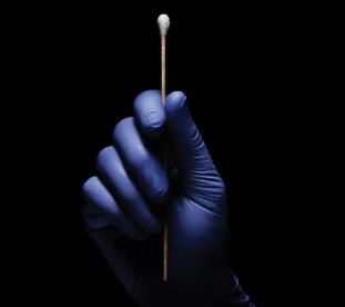 多基因座 Y-STR在命案积案大家系排查中的应用与思考论文
