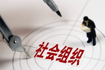 社会组织参与下的民政法治合作与协同机制探讨论文