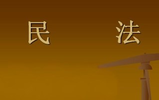 社会组织参与下的民政法治合作与协同机制探讨论文