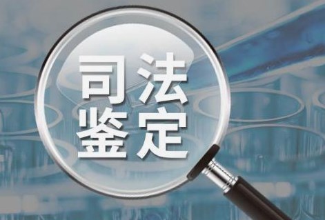 电子印章管理风险及司法鉴定实务实施的对策论文