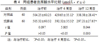 艾托格列净联合二甲双胍在2型糖尿病治疗中的应用效果研究论文