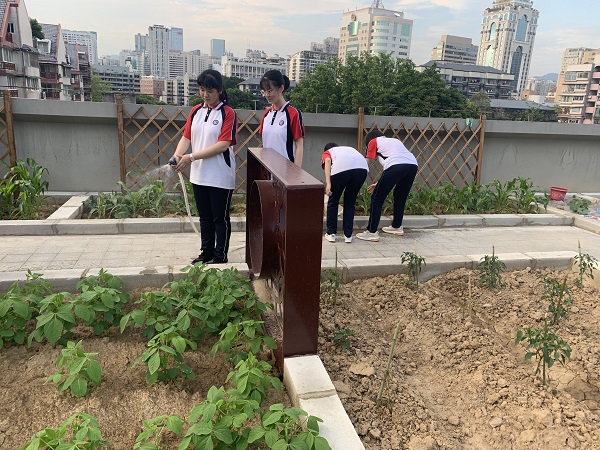 校园资源开发下高校劳动教育可视化实践路径论文