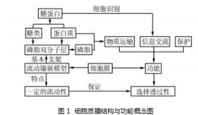 新课标新教材下以学科核心素养为导向的课堂教学方式的改变论文
