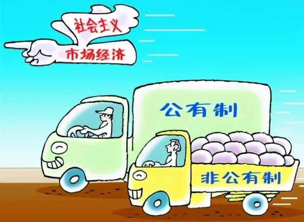 构建高水平社会主义市场经济体制的法治路径论文