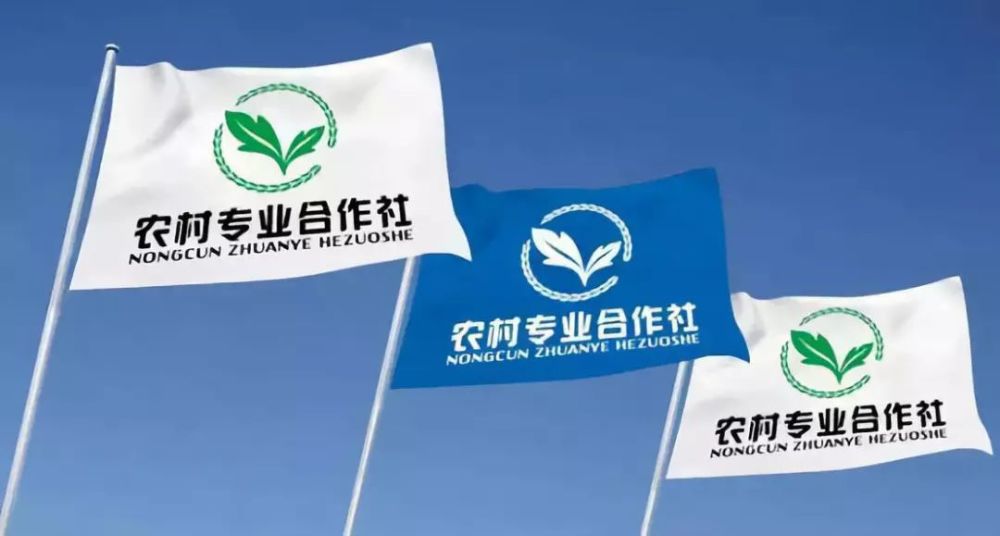 领头人综合能力对农民合作社财务状况影响研究