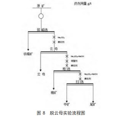 某含铁锂辉石选矿工艺研究