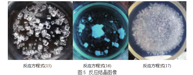 饱和状态下硫酸复盐的反应研究论文