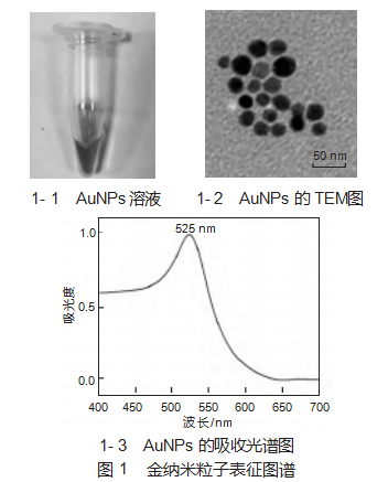 基于适配体的纳米金比色法检测中药材中黄曲霉毒素B₁论文