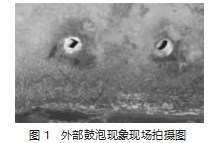 湿硫化氢环境中石油化工设备的腐蚀防护论文