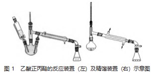 乙酸正丙酯制备条件的优化研究论文