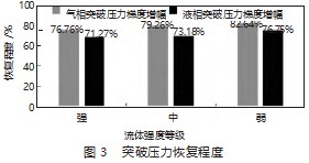 致密气储层绒囊流体选择性控水实验分析与研究论文