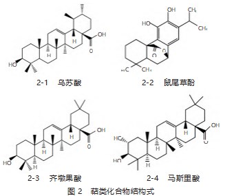 中药荔枝草的化学成分及其药理作用研究进展论文