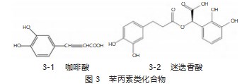 中药荔枝草的化学成分及其药理作用研究进展论文