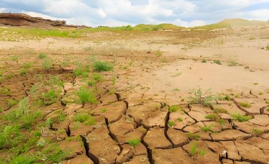 重金属污染土壤绿色可持续修复技术论文