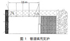 综采充填工作面沿空留巷支护技术研究论文