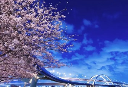 日本传统自然审美欣赏论文