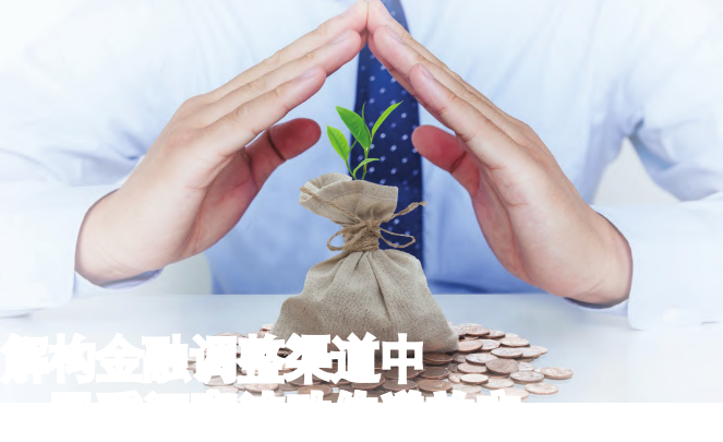 解构金融调整渠道中人民币汇率波动传递效应论文