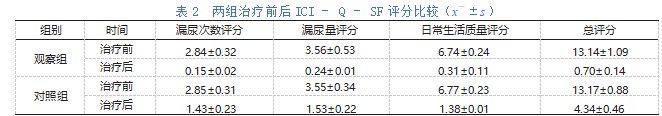 经阴道膀胱颈悬吊治疗女性压力性尿失禁的临床分析论文