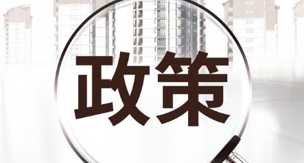 政策建议