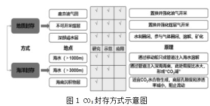 “双碳”背景下二氧化碳海洋封存水合物利用技术研究进展论文