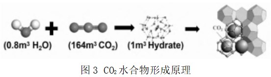 “双碳”背景下二氧化碳海洋封存水合物利用技术研究进展论文