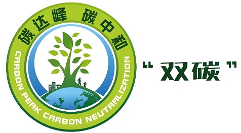 “双碳”背景下化工生产实习的教学改革与实践论文