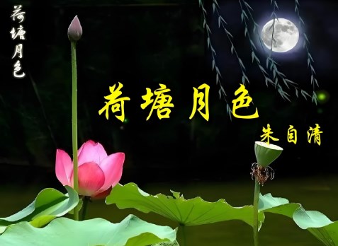 月光幻境——品味《荷塘月色》论文