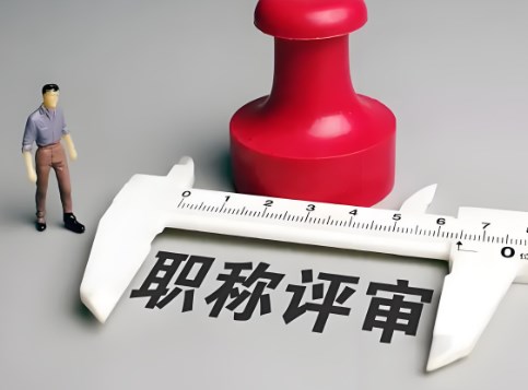 职称评审的标准与要求详解